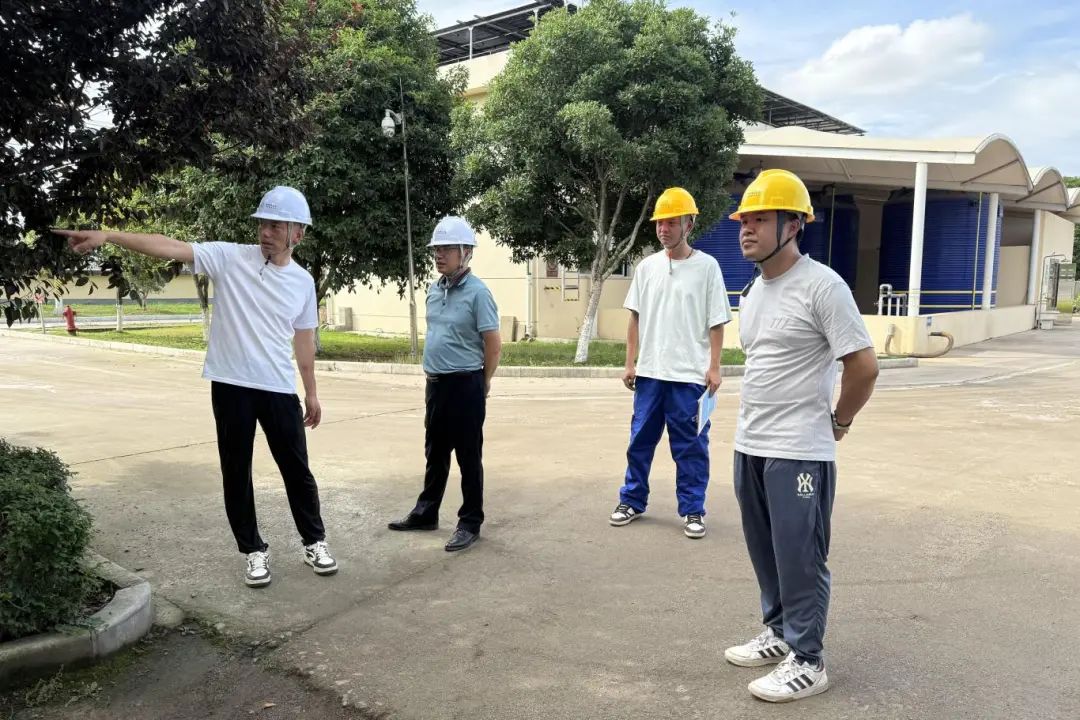 1751335051486345.jpg 630-5-12.jpg