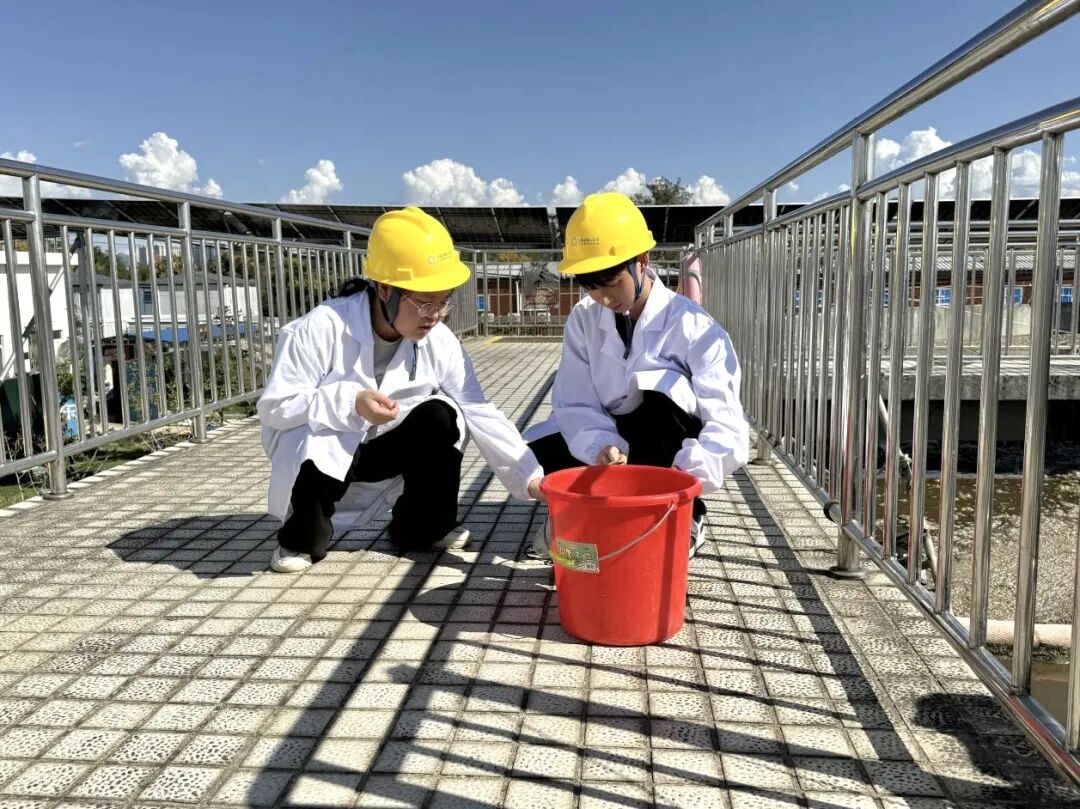 1760767965101344.jpg 1017-5-3.jpg