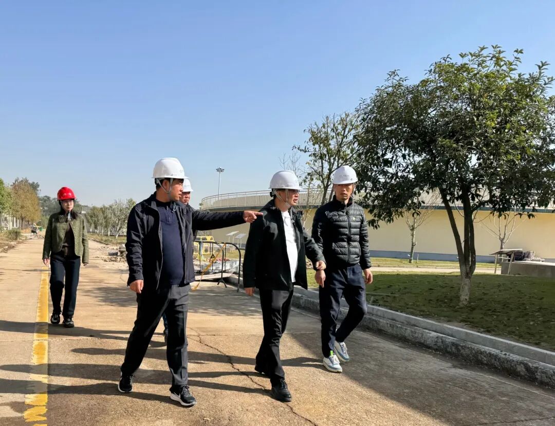 1764383901917364.jpg 1128-4-2.jpg