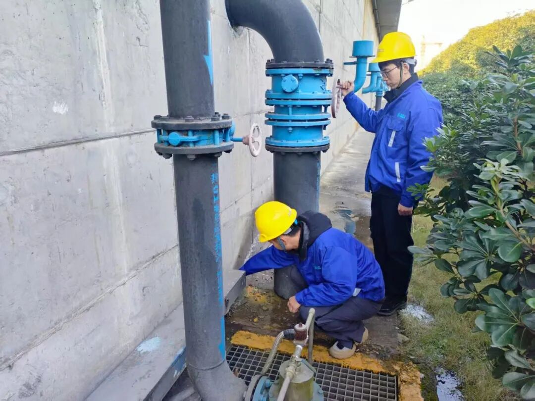 1768647710618578.jpg 0116-6-5.jpg