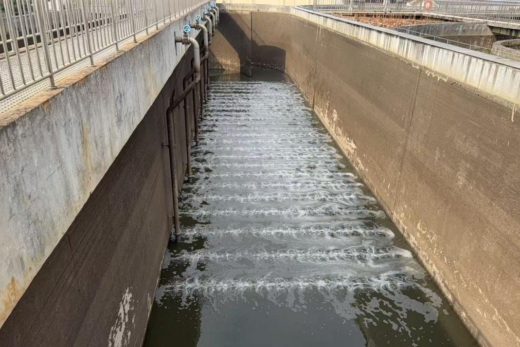 1769229202441992.png 0123-6-3.png