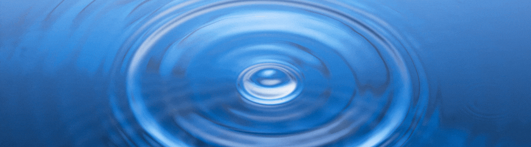 1769827478269804.gif 0130-6-1.gif