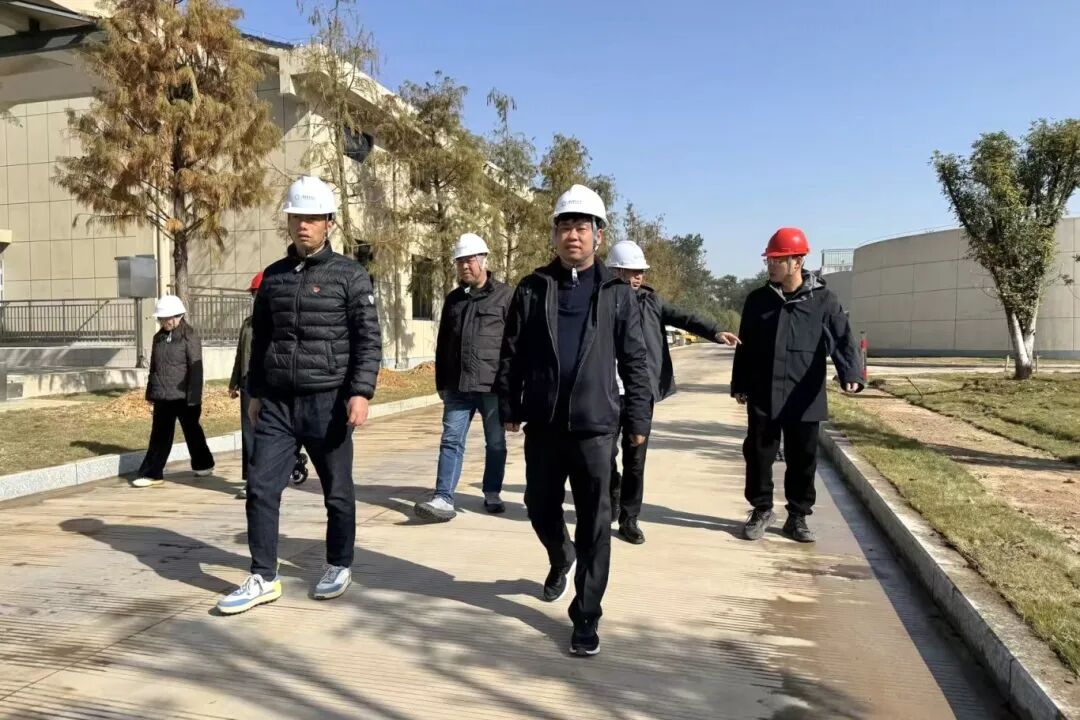 1771982425480672.jpg 0215-6-5.jpg