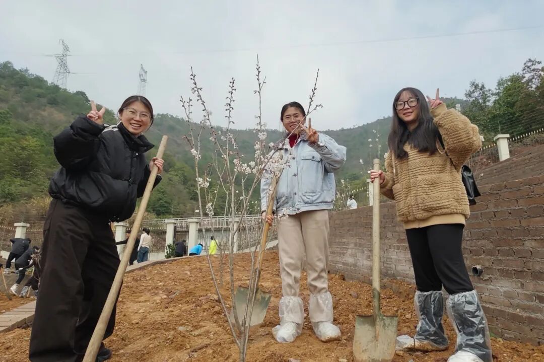 1772849847768037.jpg 0306-4-4.jpg