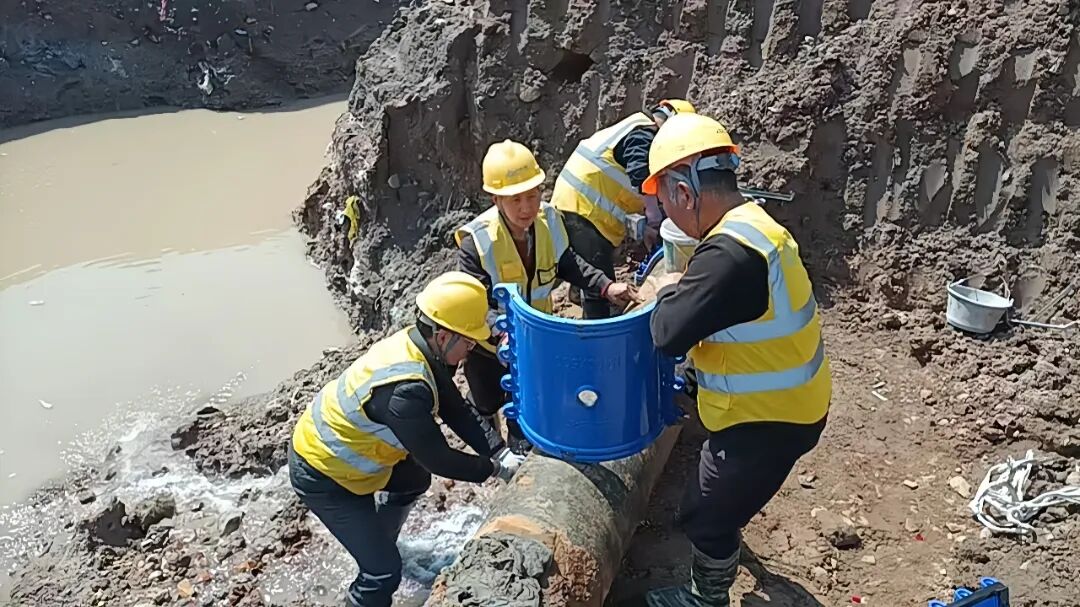 1773400155233030.jpg 0313-5-2.jpg