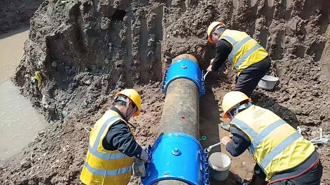 1773400164430264.jpg 0313-5-3.jpg