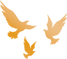 1784599028683650.png 720-5-8.png