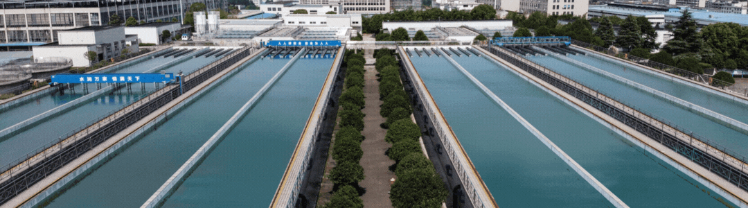 1786093164393438.gif 807-4-1.gif